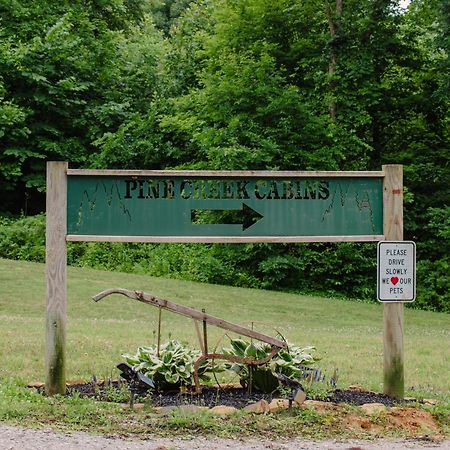 Pine Creek Cabins & Camping Resort South Bloomingville Экстерьер фото
